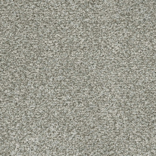 Brazen I in Purity Carpet