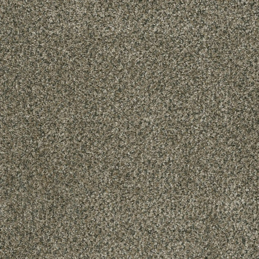 Brazen II in Feather Soft Carpet