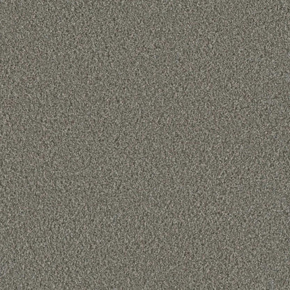 Metropolis I