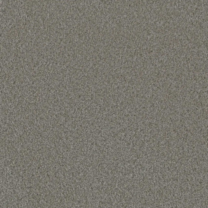 Metropolis I in Heaven Sent Carpet