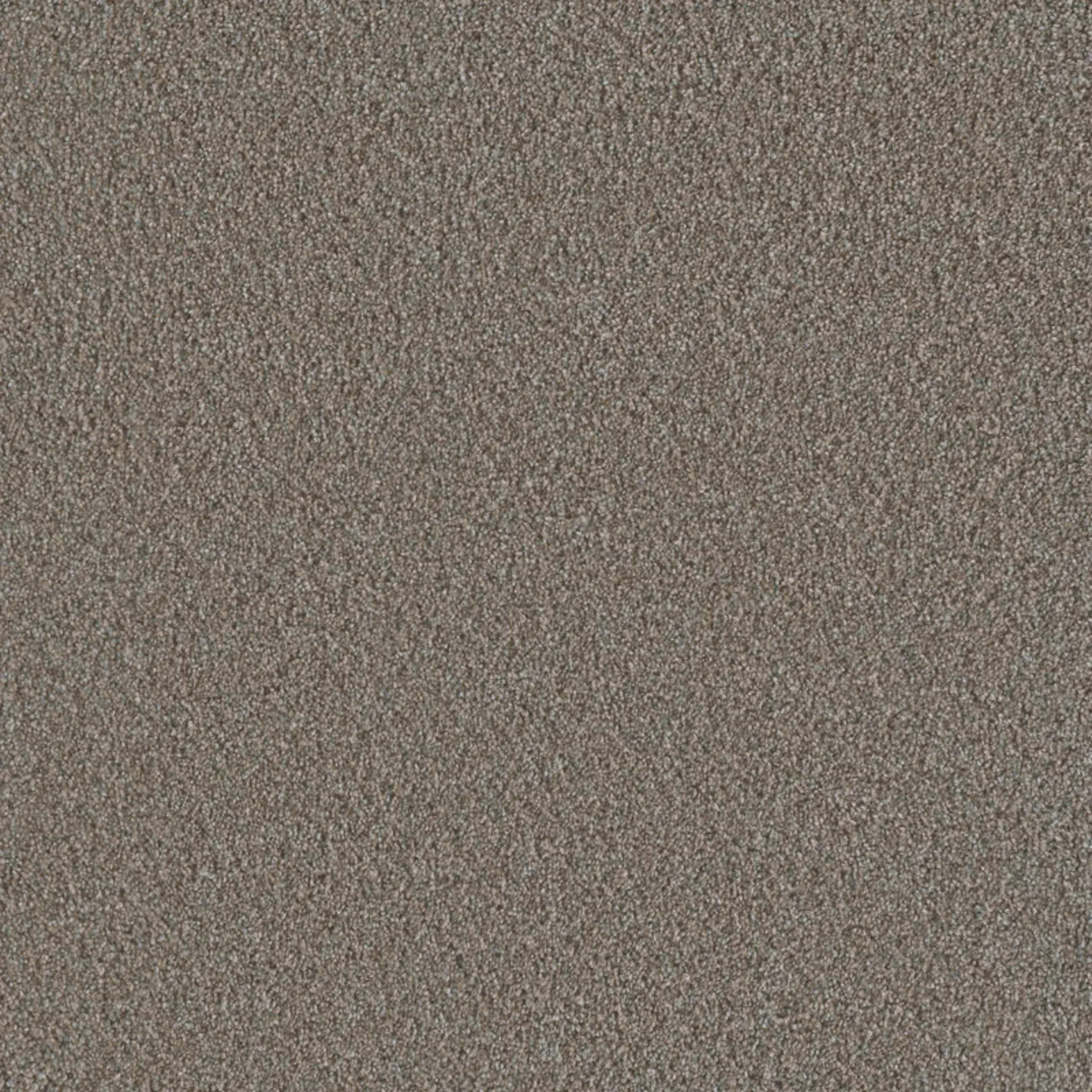 Metropolis III in Butter Pecan Carpet
