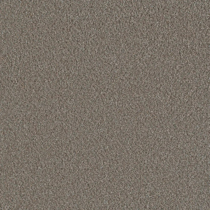 Metropolis III in Butter Pecan Carpet