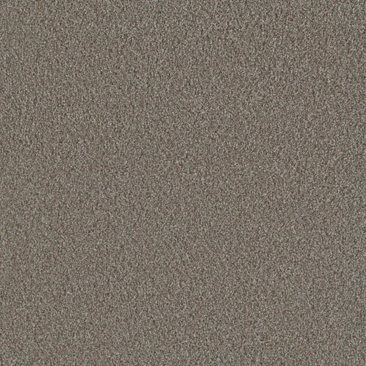 Metropolis III in Butter Pecan Carpet