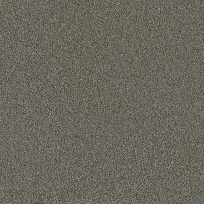 Metropolis III