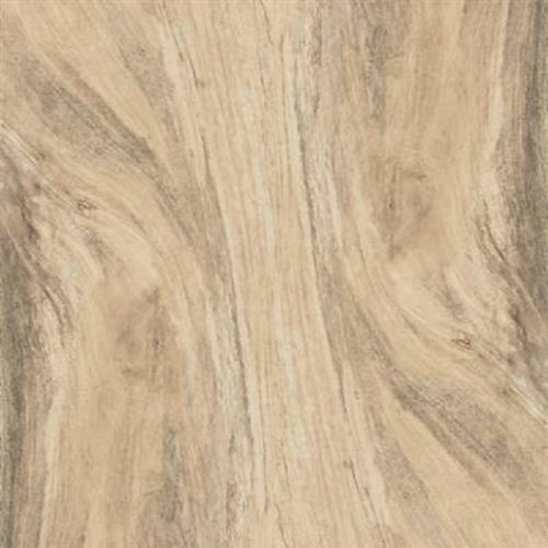 Citrus in Amber Natural - 12x24 Tile