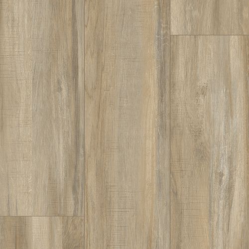 Pro Solutions Db in Autumn Ember