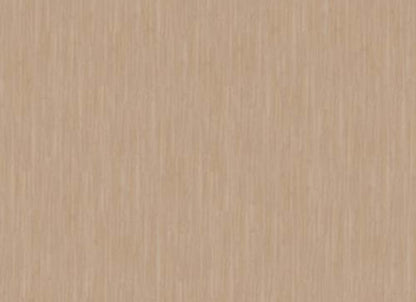 Pro Solutions Db in Latte