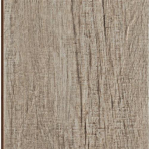 Alpi in Tortora - 8x48 Tile