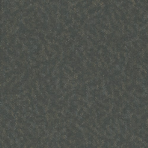 Animated Tile in Perky