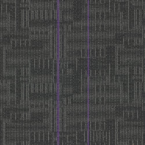 Echo Plank in Royal Purple