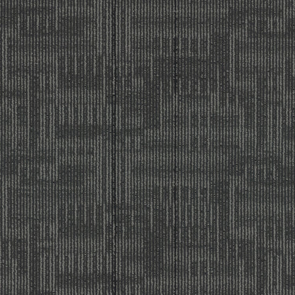 Echo Plank