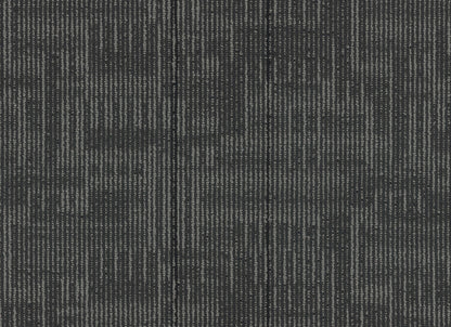 Echo Plank
