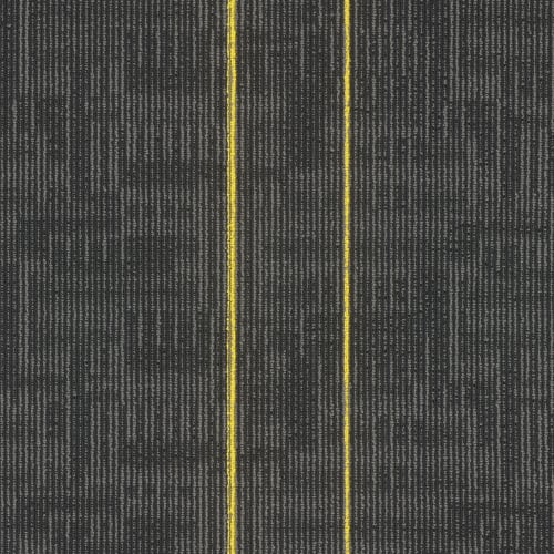 Echo Tile in Cyber