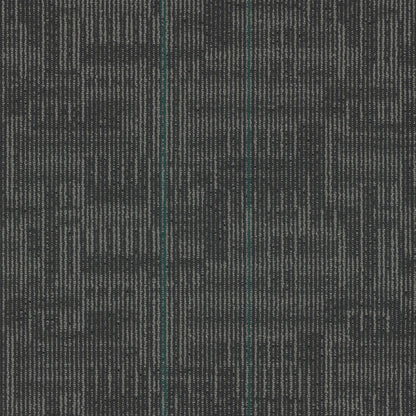 Echo Plank