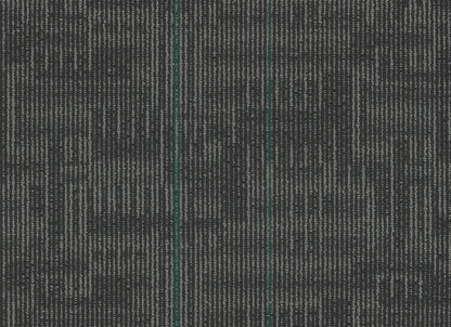 Echo Plank
