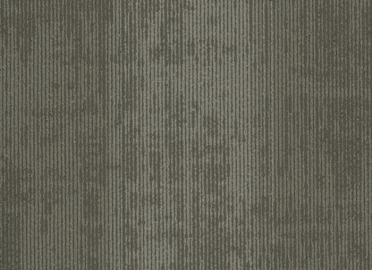 Universe Plank