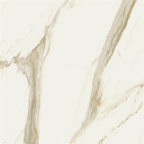 Stratus in Oro Polished - 12x24 Tile