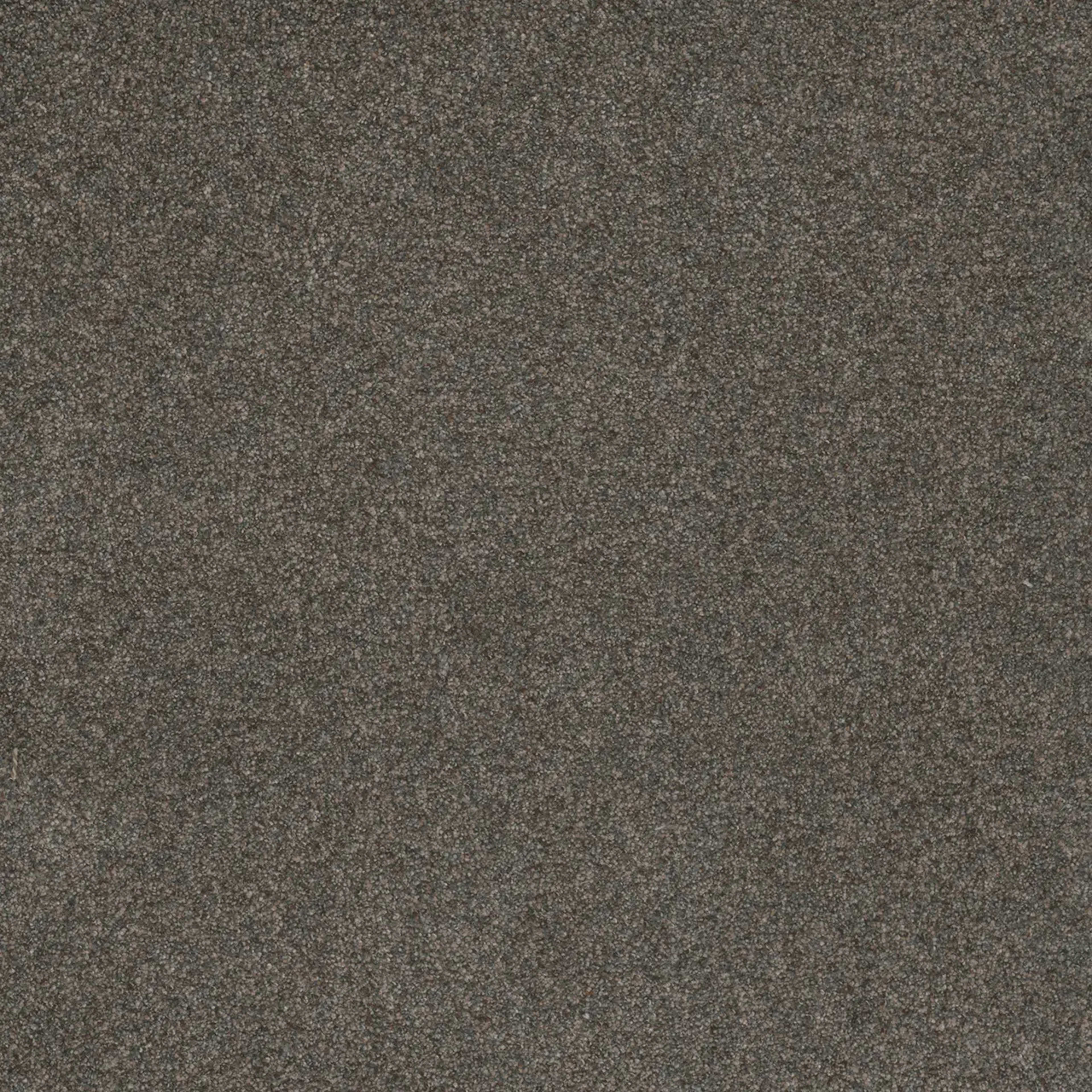 Serene III in Electric Carpet