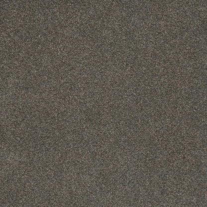 Serene III in Electric Carpet