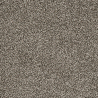 Monte Carlo II