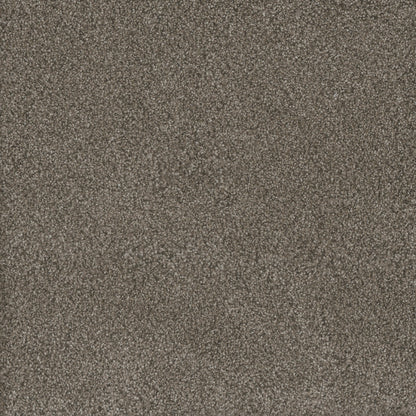 Monte Carlo II