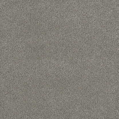 Monte Carlo II