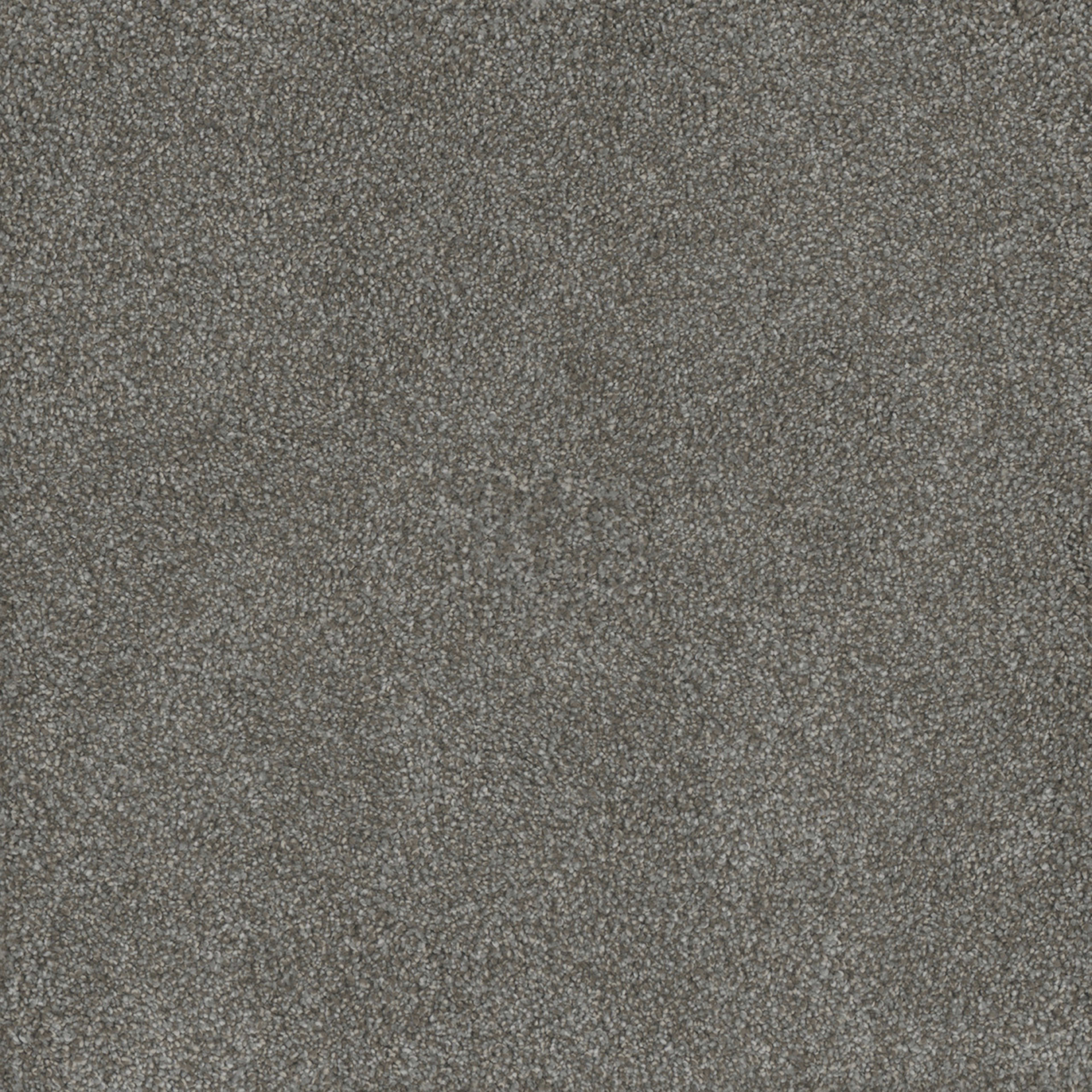 Monte Carlo II in Jadestone Carpet