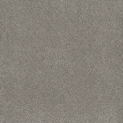 Monte Carlo II