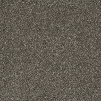 Monte Carlo II