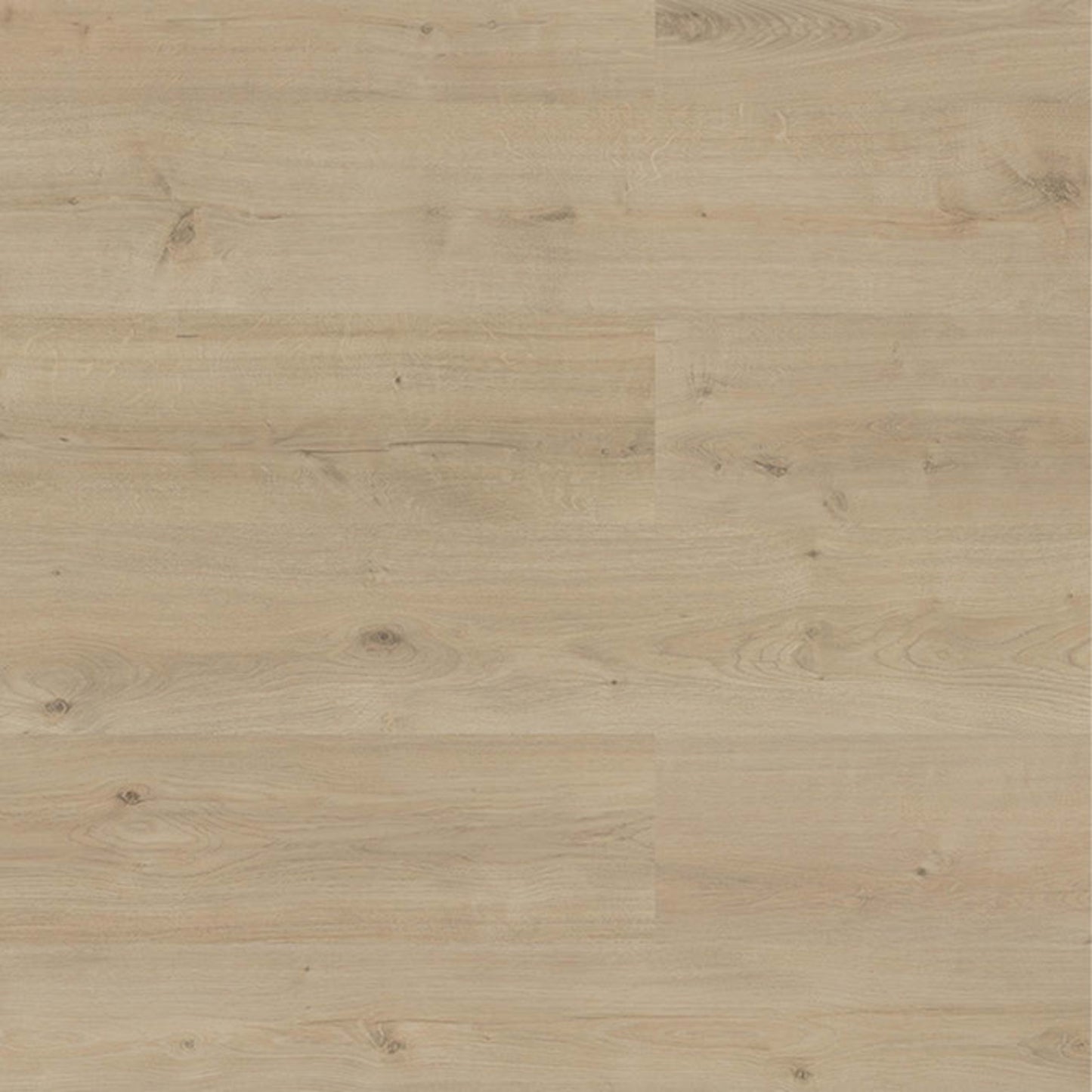 TimbrCORE - Sequoia Collection in Mineral Peak Laminate