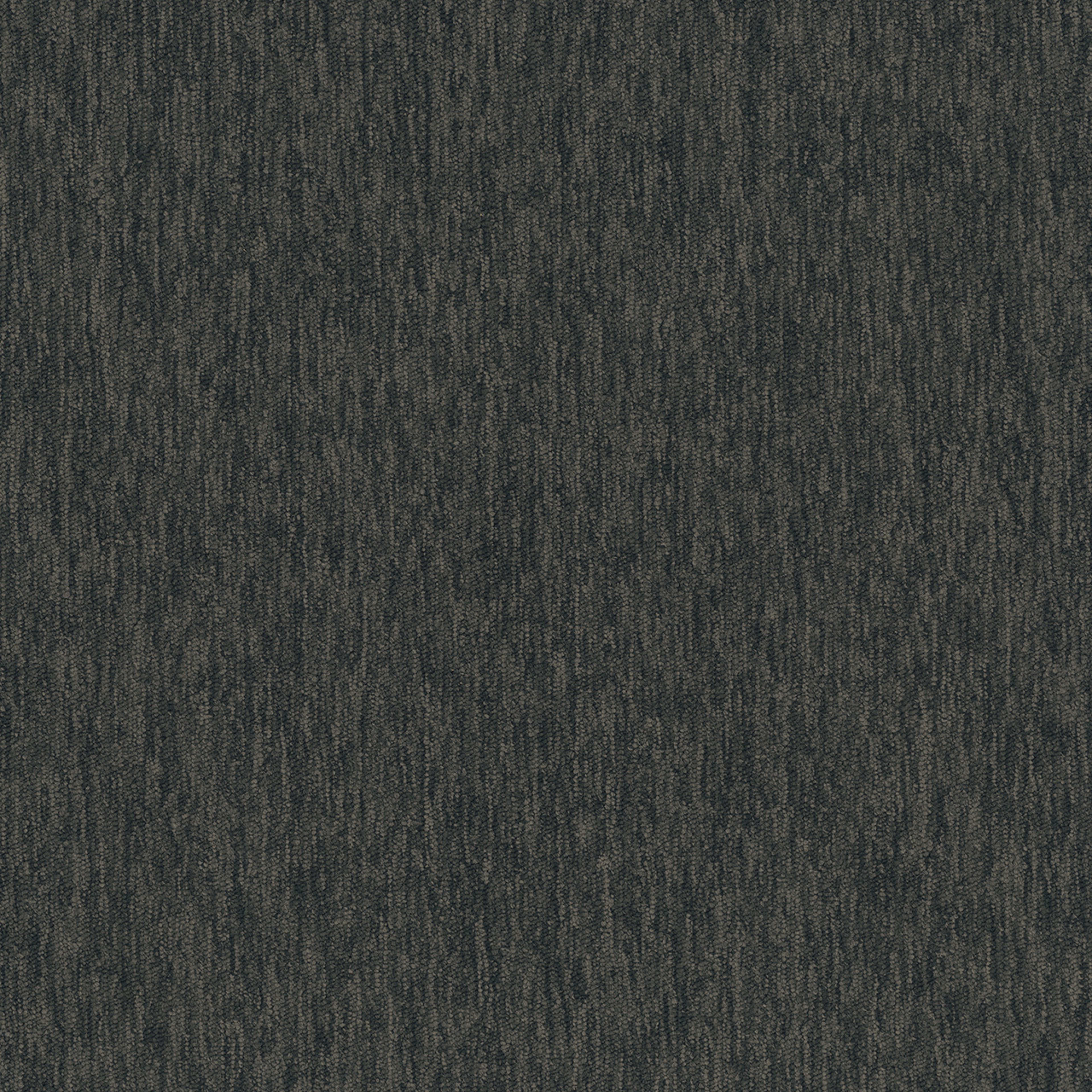 Streaming 26 in Encoding Carpet