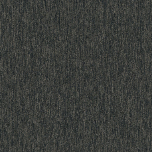 Streaming 26 in Encoding Carpet