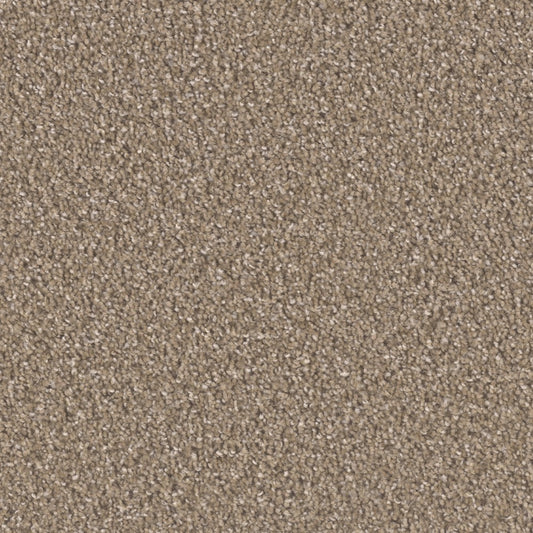Groundwork Plus in Chestnut Carpet
