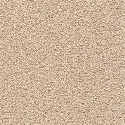 EXCEPTIONAL II in Cookie Dough Carpet