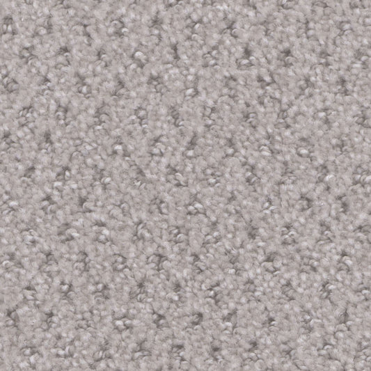 Bethpage in Clam Shell Carpet