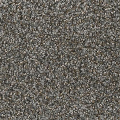 JACKSON HOLE I in Night Shades Carpet
