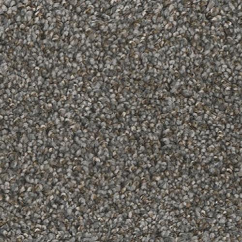 JACKSON HOLE I in Night Shades Carpet