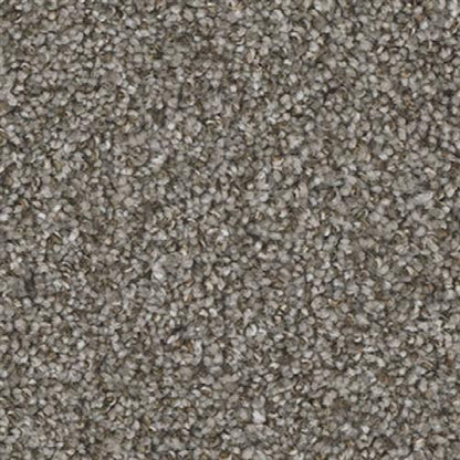 Jackson Hole II in Bay Dunes Carpet