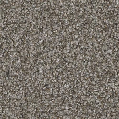 Jackson Hole II in Bay Dunes Carpet