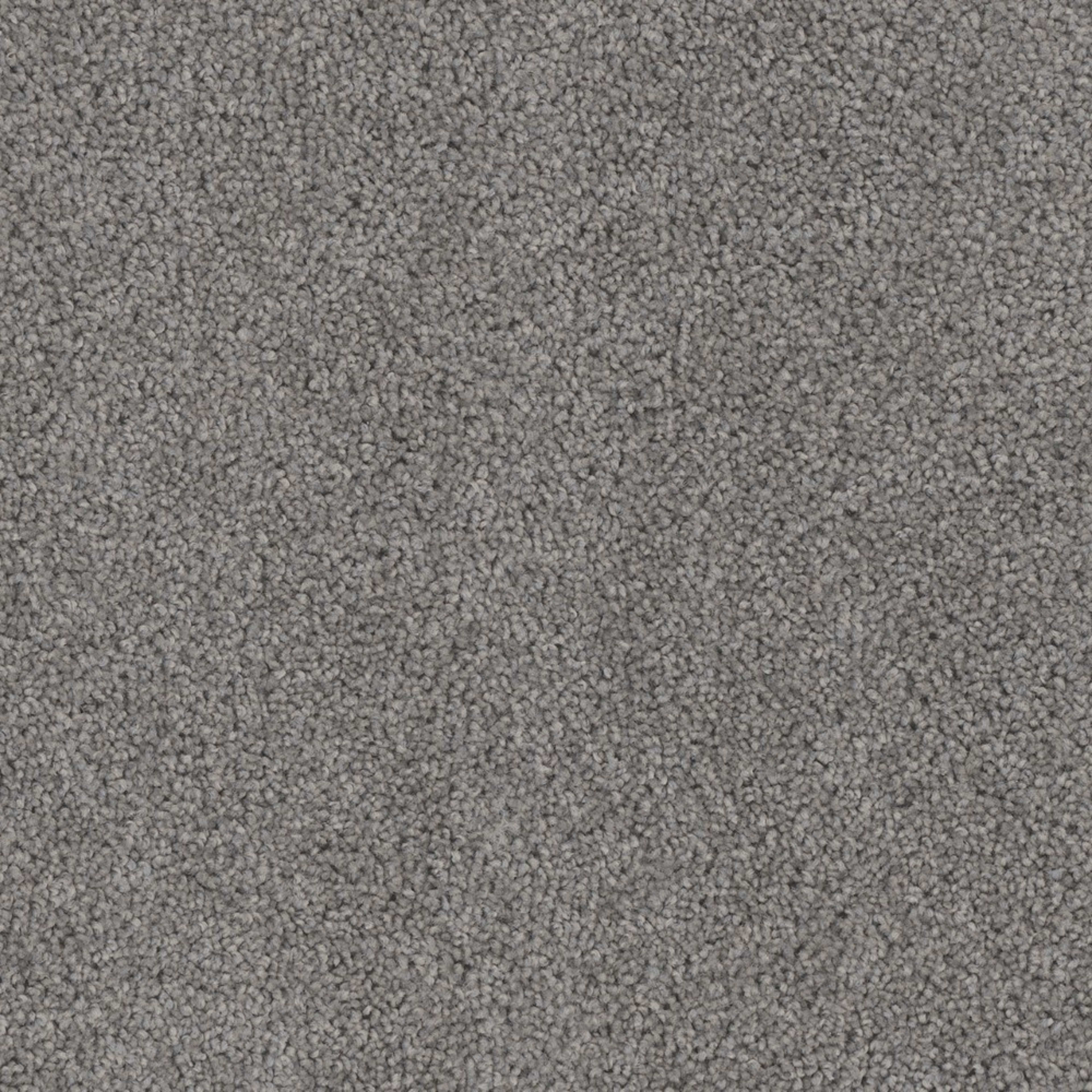 Ashton Hills in Bayside Carpet