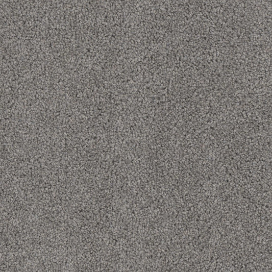 Ashton Hills in Bayside Carpet