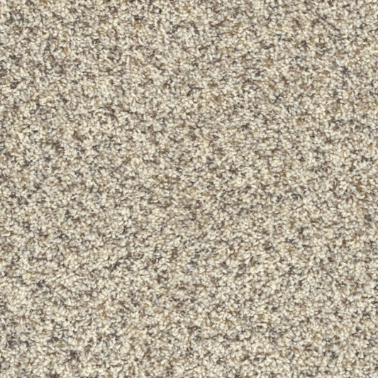 First Class in Winter Blanket Carpet