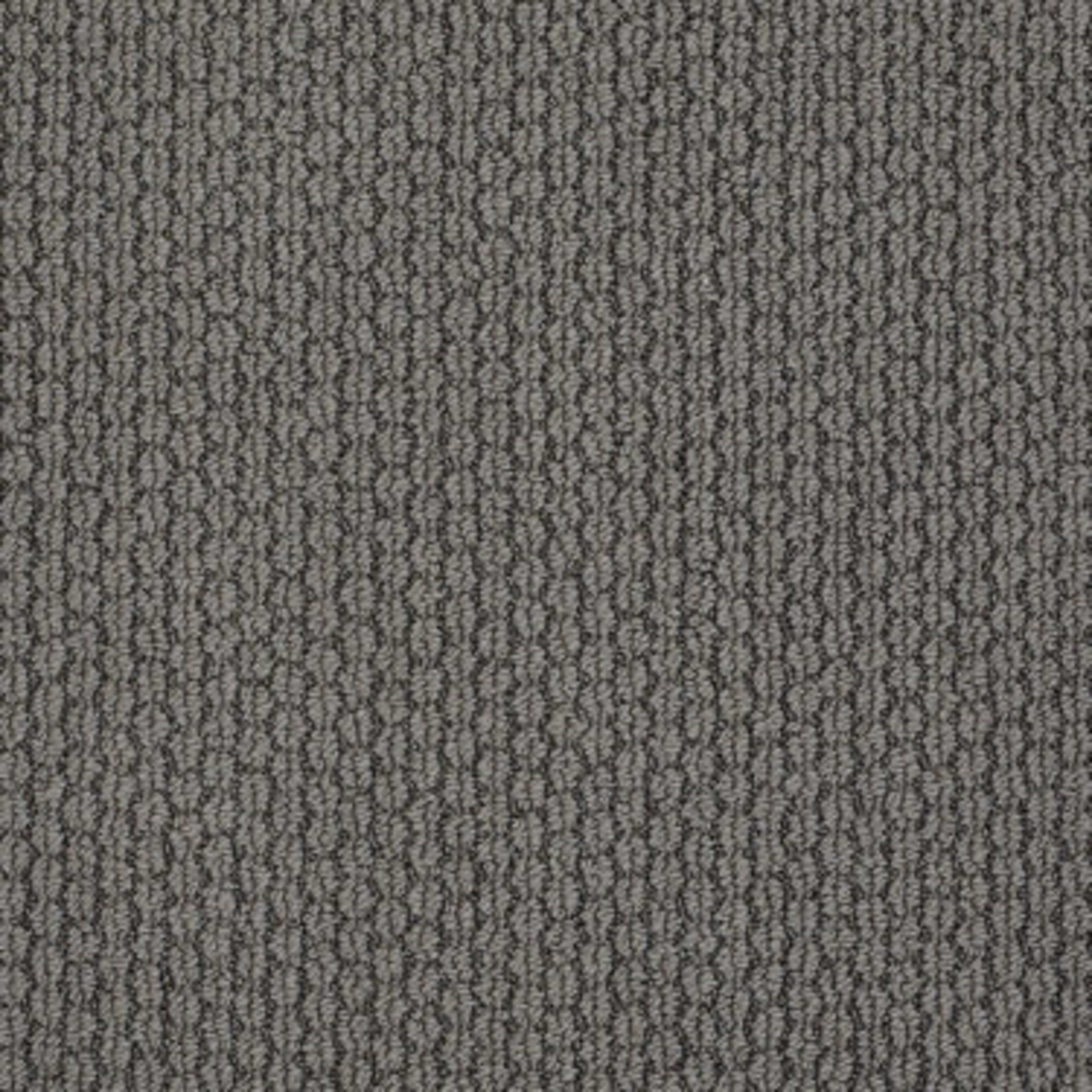 VISIONARY in Charcoal Carpet
