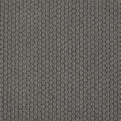 VISIONARY in Charcoal Carpet