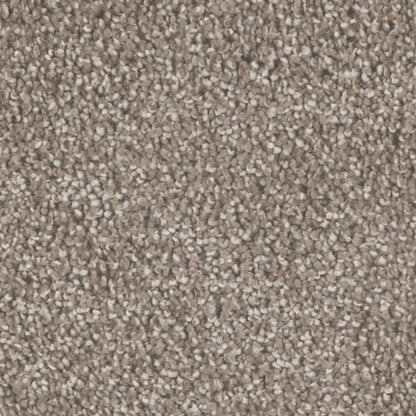 All Star in Quail Carpet