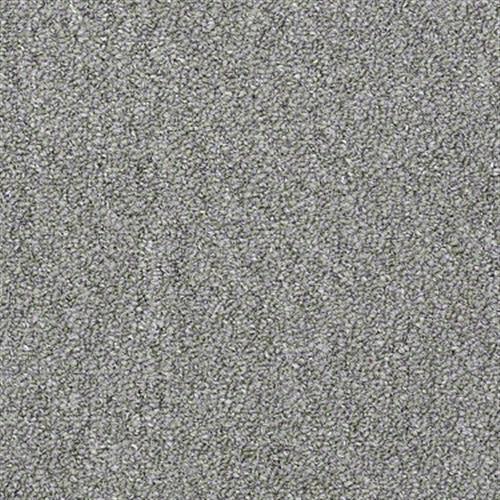 Capital Cls E3+ in Senator Carpet