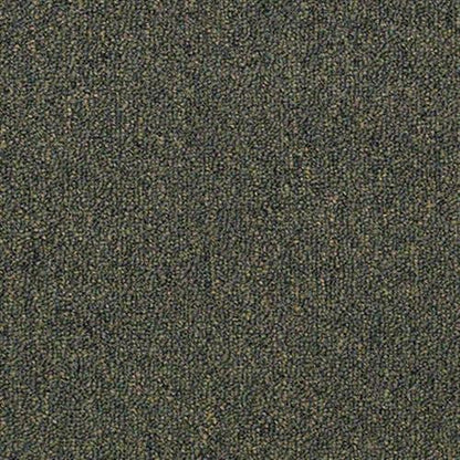 Capital Cls in Bill Of Rights Carpet