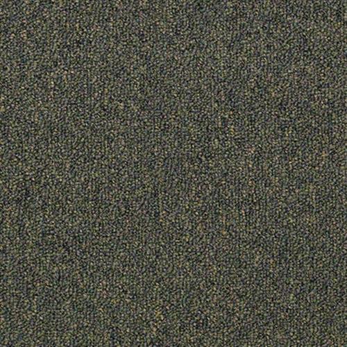 Capital Cls in Bill Of Rights Carpet
