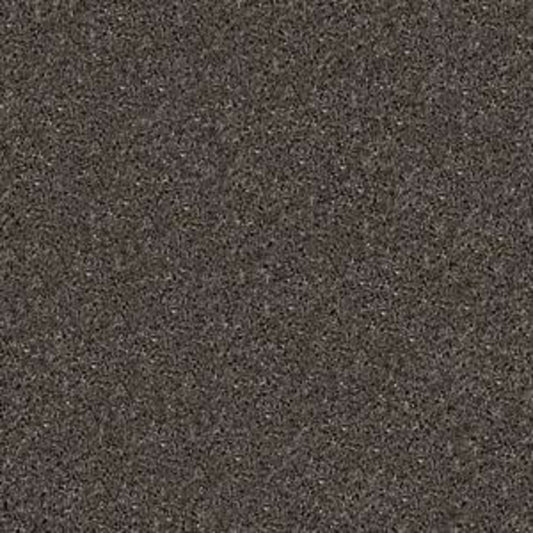 Go Ahead I in Smoked Pearl Carpet