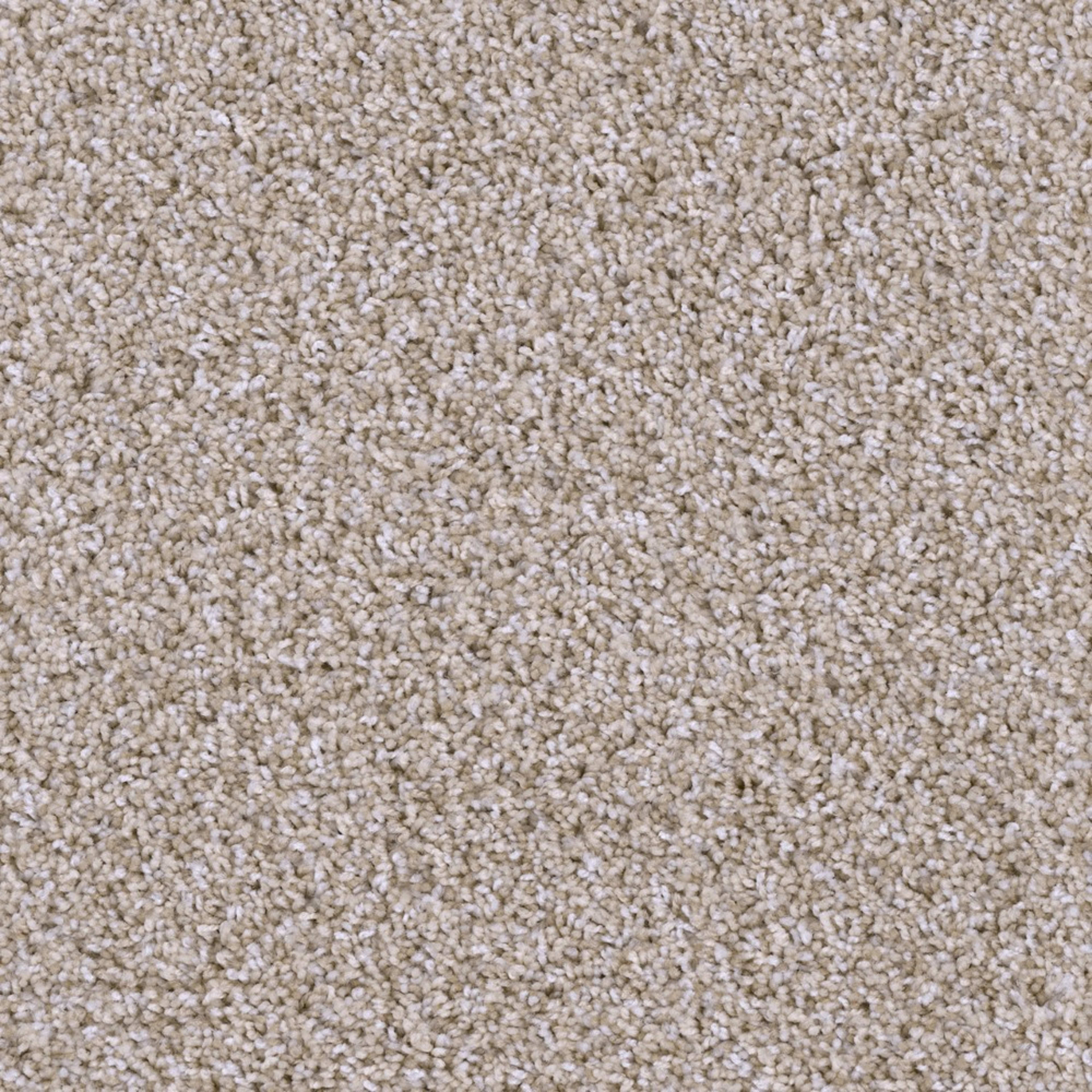 Missionary Ridge in Crystal Coast Carpet